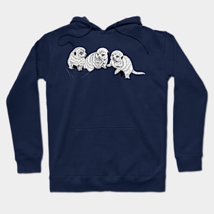 Baby meerkats Hoodie